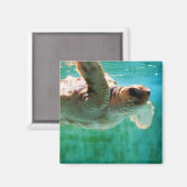 Loggerhead #1 Magnet Magneet (Voorkant / Achterkant)