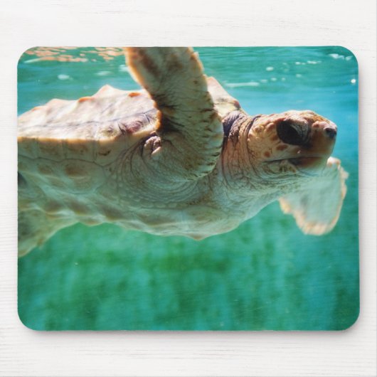 Loggerhead #1 Mousepad Muismat (Voorkant)