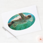 Loggerhead #1 Sticker (Envelop)