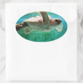 Loggerhead #1 Sticker (Tas)