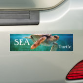 Loggerhead #2 Bumpersticker (Op auto)