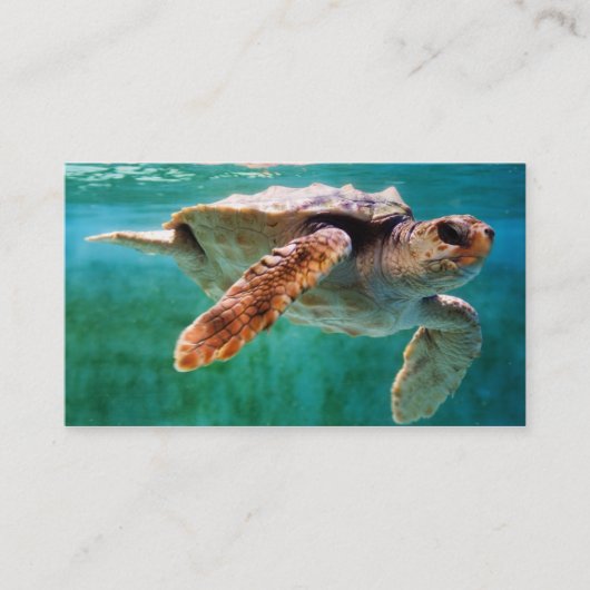 Loggerhead #2 minidruk visitekaartje (Voorkant)