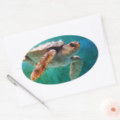 Loggerhead #2 Sticker (Envelop)