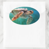 Loggerhead #2 Sticker (Tas)
