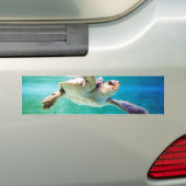 Loggerhead #3 Bumpersticker (Op auto)