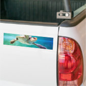Loggerhead #3 Bumpersticker (Op Truck)