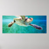 Loggerhead #3 Poster (Voorkant)