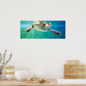 Loggerhead #3 Poster (Keuken)