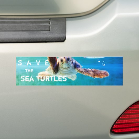 Loggerhead #4 Bumpersticker (Op auto)