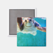Loggerhead #4 Magnet Magneet (Voorkant / Achterkant)