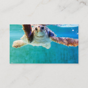 Loggerhead #4 Mini Print Visitekaartje