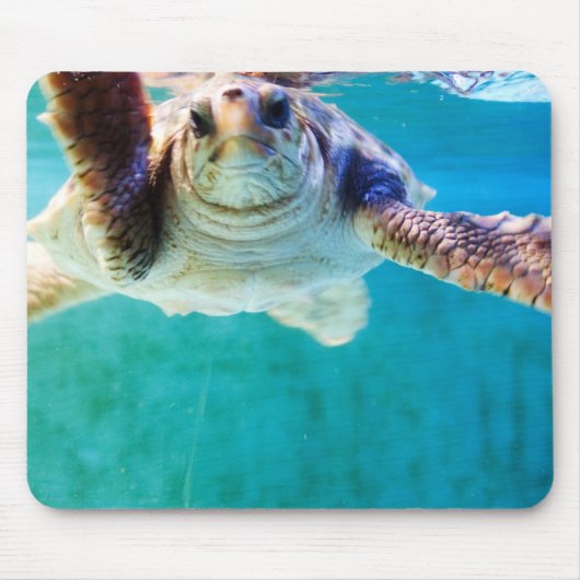 Loggerhead #4 Mousepad Muismat (Voorkant)