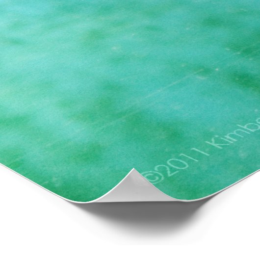 Loggerhead #4 Poster (Hoek)