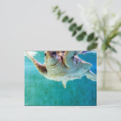 Loggerhead #5 Briefkaart (Staand voorkant)
