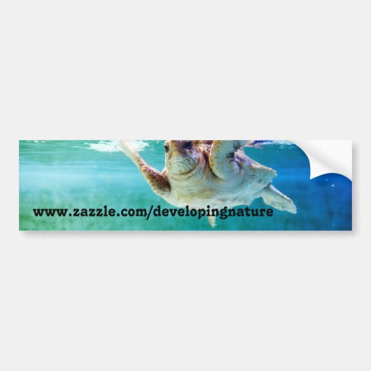 Loggerhead #5 Bumpersticker (Voorkant)