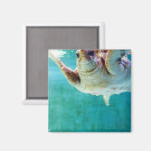 Loggerhead #5 Magnet Magneet (Voorkant / Achterkant)