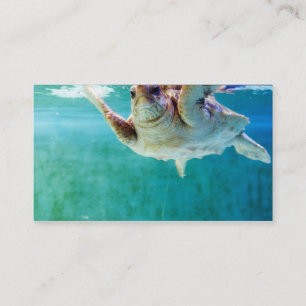 Loggerhead #5 Mini Print Visitekaartje