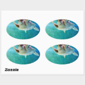 Loggerhead #5 Sticker (Vel)