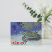 Loggerhead Turtle In Mexico Briefkaart (Staand voorkant)