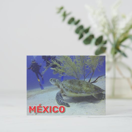 Loggerhead Turtle In Mexico Briefkaart (Staand voorkant)