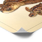 Loggerhead Zee Turtle Adult en Juvenile Print (Hoek)