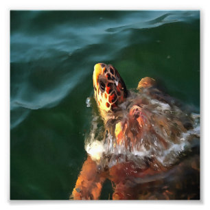 Loggerhead Zee Turtle Artistic Portret Foto Afdruk