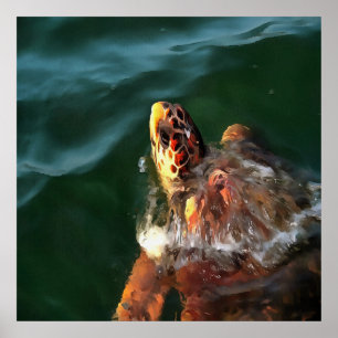 Loggerhead Zee Turtle Artistic Portret Poster