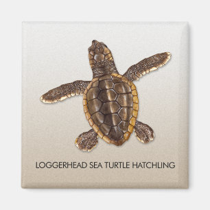 Loggerhead Zee Turtle Hatchling Magnet Magneet
