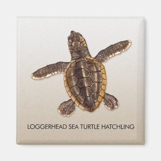 Loggerhead Zee Turtle Hatchling Magnet Magneet (Voorkant)