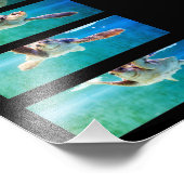 Loggerhead Zee Turtle Study Foto Afdruk (Hoek)
