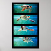 Loggerhead Zee Turtle Study Poster (Voorkant)