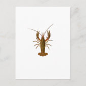 Logo Briefkaart (Voorkant)