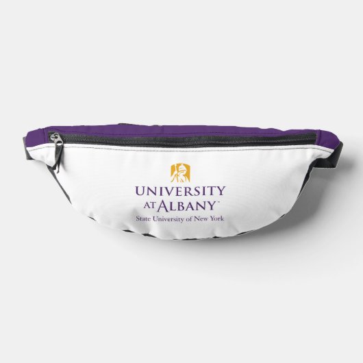 Logo de l'Université d'Albany (Poser)