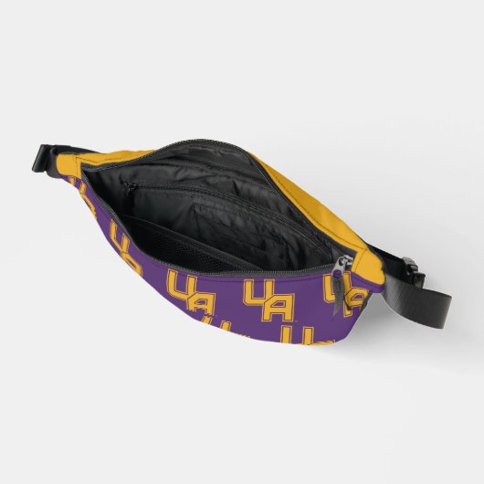 Logo de l'Université d'Albany Initials (Ouvrir)