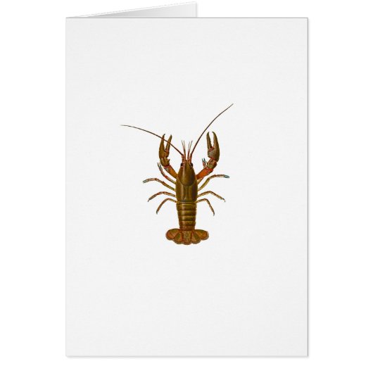 Logo d'écrevisses (Devant)