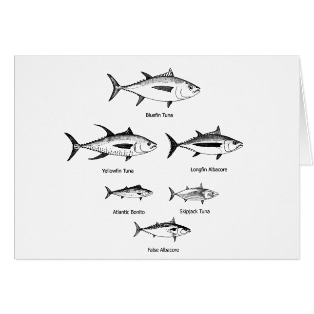 Logo d'espèces de thon (Devant horizontal)