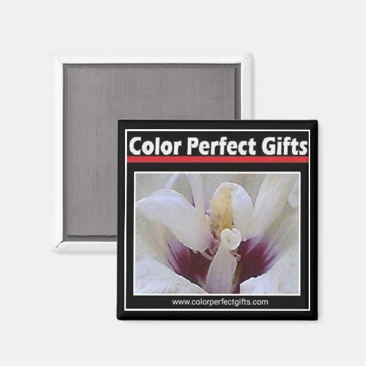 Logo Magnet (Recto/Verso)