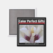 Logo Magnet Magneet (Voorkant / Achterkant)