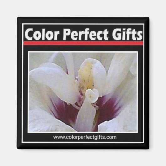 Logo Magnet Magneet (Voorkant)