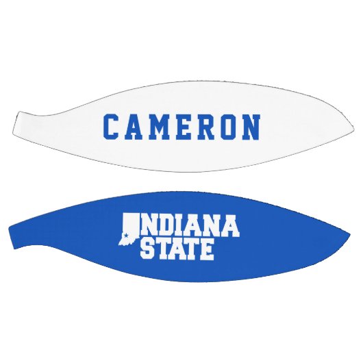 Logo van de Indiase staat Basketbal (Panelen)