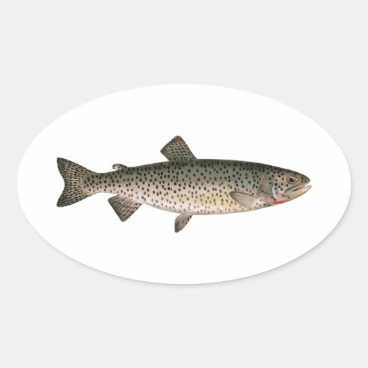 Lohanton cutthroat forel ovale sticker (Voorkant)