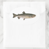Lohanton cutthroat forel ovale sticker (Tas)