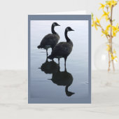 L'oie du Canada carde des cartes de voeux d'oies (Fleur jaune)