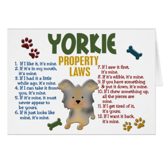 Lois 4 de propriété de Yorkie
