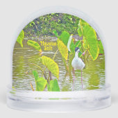 L'oiseau d'Amérique (Arrière)