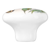 L'oiseau de colibri fleurit le bouton d'animal de (Côté)