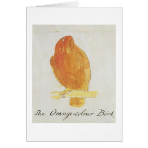 L'oiseau orange de couleur, de 'seize dessins de