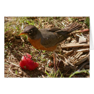 L'oiseau tôt obtient…