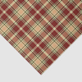 Loively  Pset Holiday Wrap Tissuepapier (Detail)