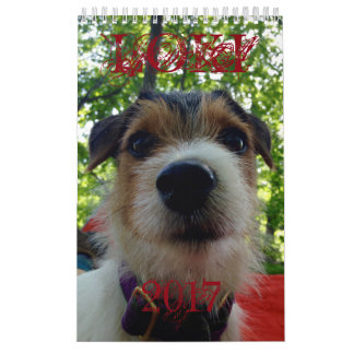 Loki 2017 Calendar Kalender